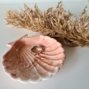 Schelp schaaltje