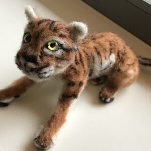 tijger