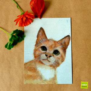 Wenskaart Kitten